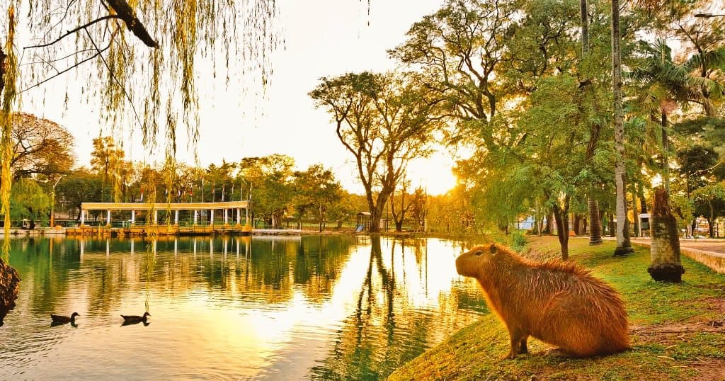 Vista de Paraguay 7