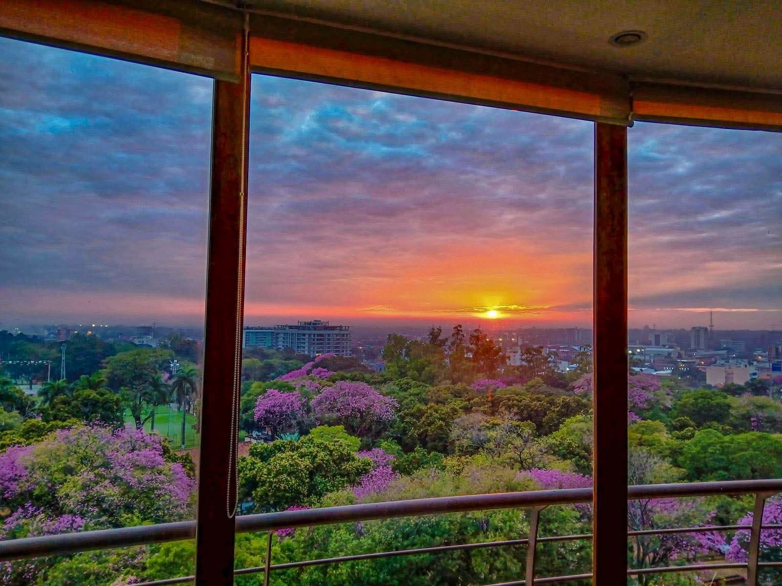 Vista de Paraguay 8